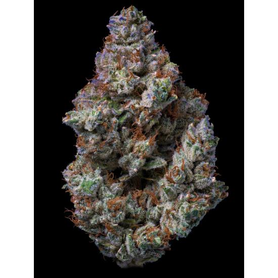 Apex - Ethos Genetics