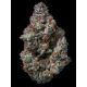 Apex - Ethos Genetics