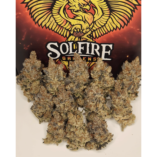 FX3 (Fire Flame Fuego) - Solfire Gardens