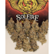 FX3 (Fire Flame Fuego) - Solfire Gardens