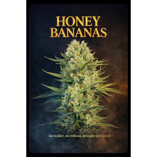 Honey Banana - Elemental Seeds