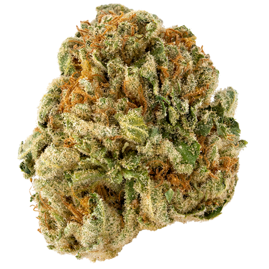 Honey Banana - Elemental Seeds