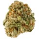 Honey Banana - Elemental Seeds