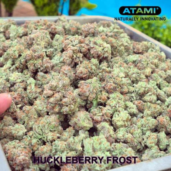 Huckleberry Frost - Head Honcho Genetics