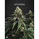 Jet Fuel Gelato - Compound Genetics