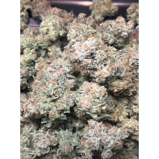 Mango Madness - In House Genetics
