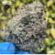 Strawberry Lemonade - Barney's Farm