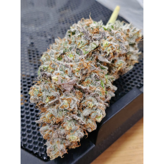 Strawberry Lemonade - Barney's Farm