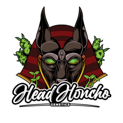 Head Honcho Genetics