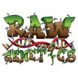 Raw Genetics