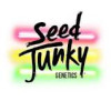 Seed Junky Genetics 