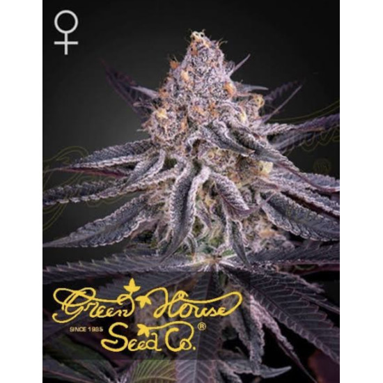 King’s Juice - Green House Seed Co.