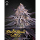 King’s Juice - Green House Seed Co.