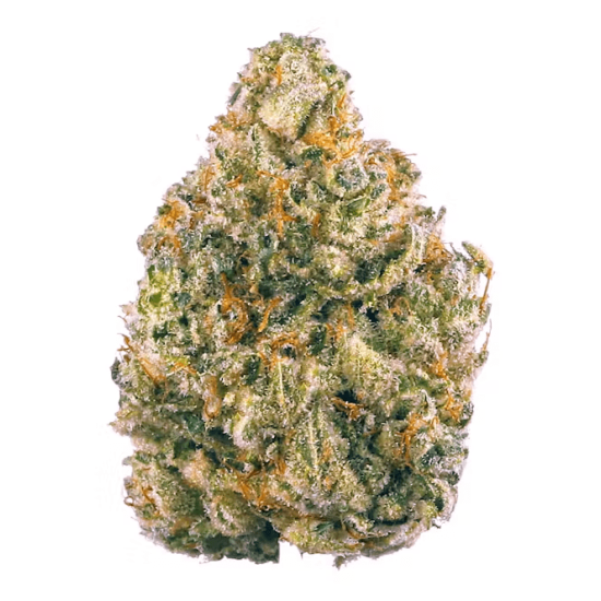 Apple Strudel - Raw Genetics